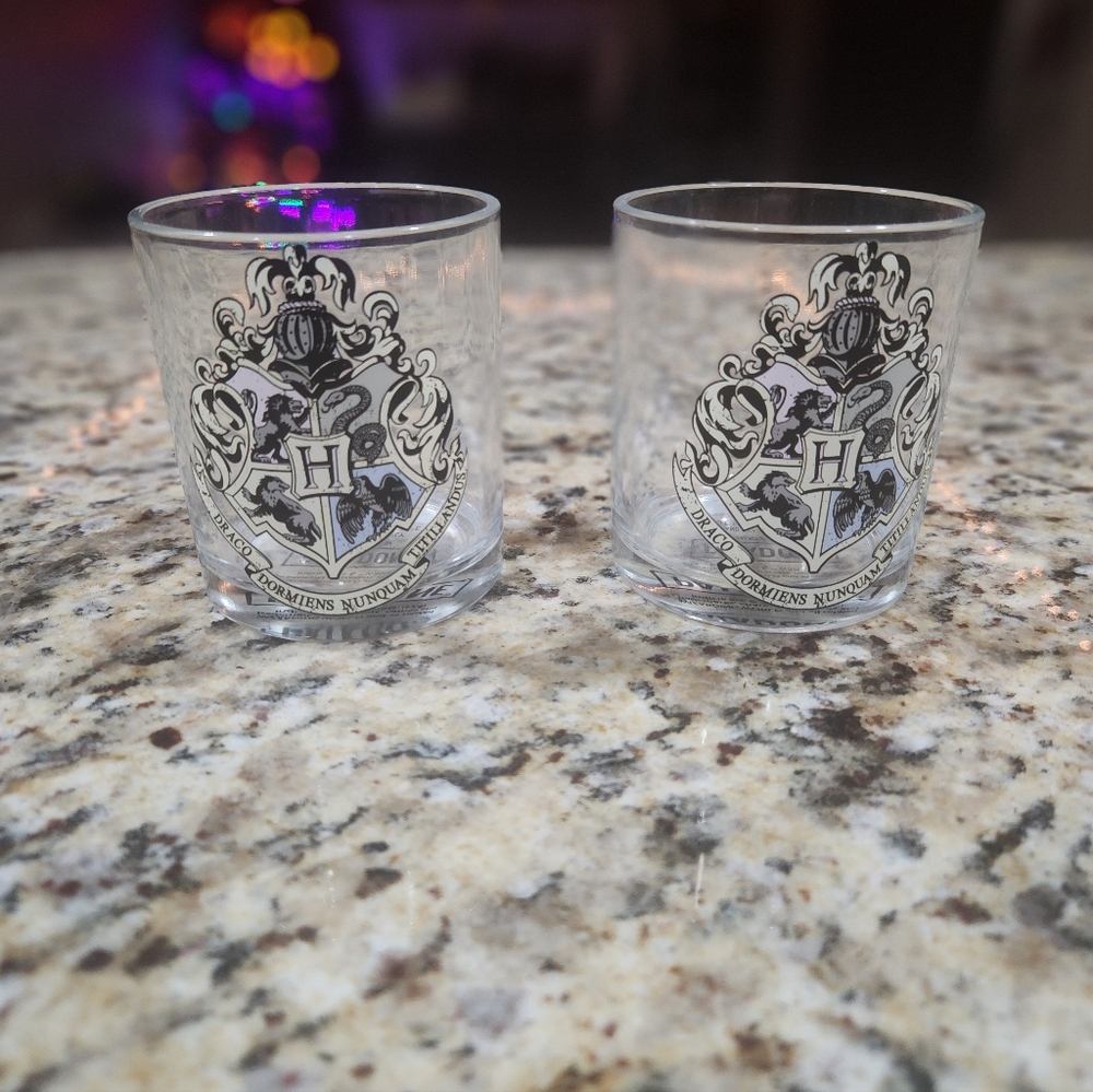 Wizarding World Harry Potter Drinking Glass Set - Picture 1 of 3